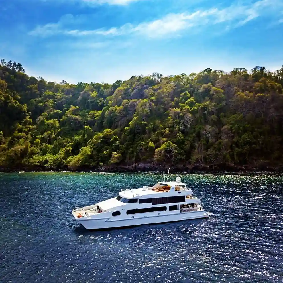 Solitude Adventurer — charter yacht in Raja Ampat