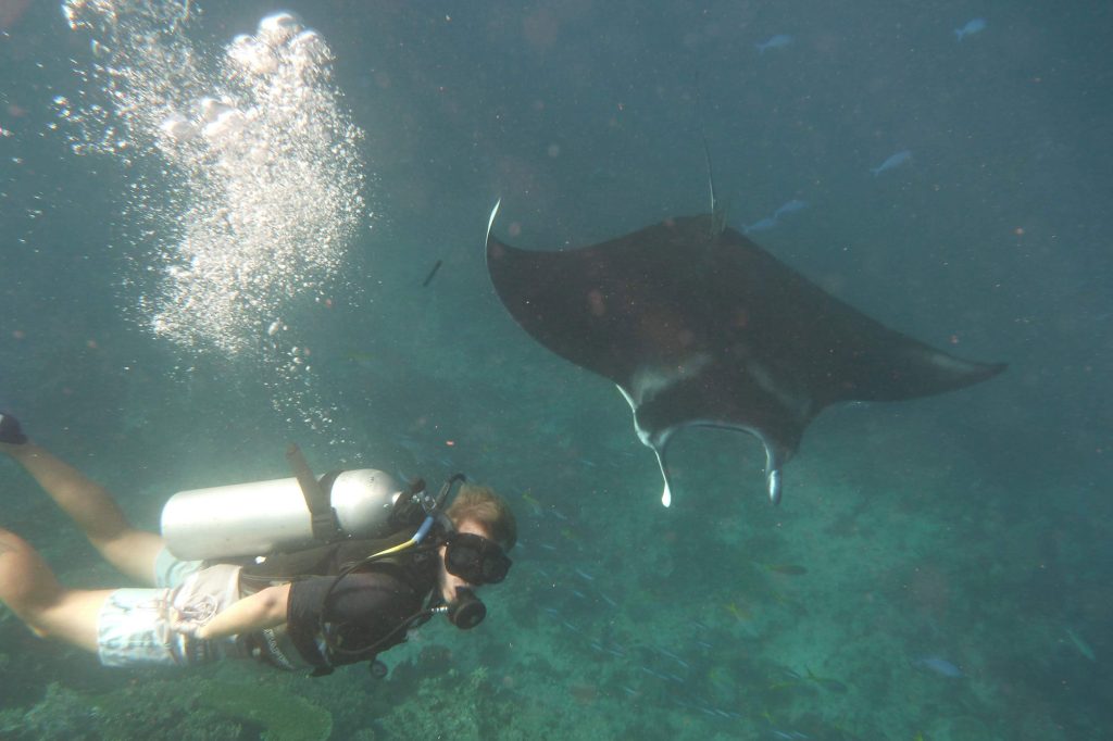 Akomo Isseki — Smart Dive Phinisi charter in Raja Ampat