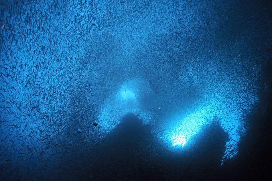 Akomo Isseki — Smart Dive Phinisi charter in Raja Ampat