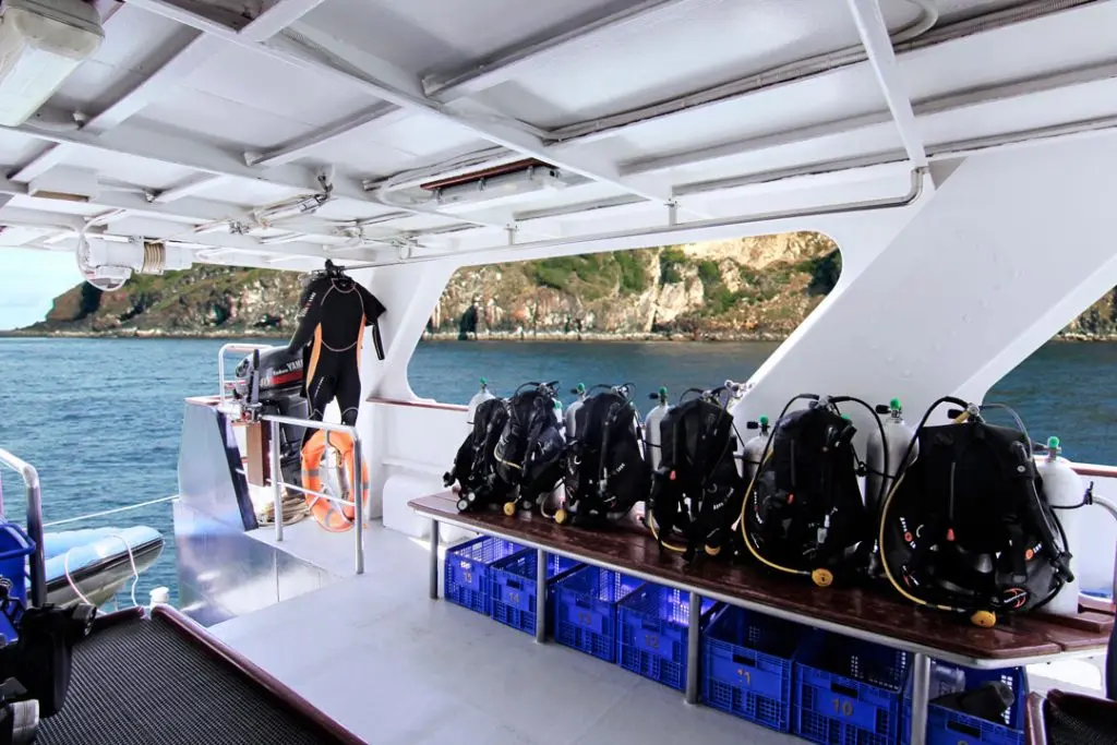 Mermaid I — charter yacht in Raja Ampat