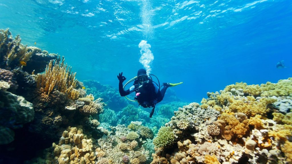 Teman — Premium Phinisi charter in Raja Ampat
