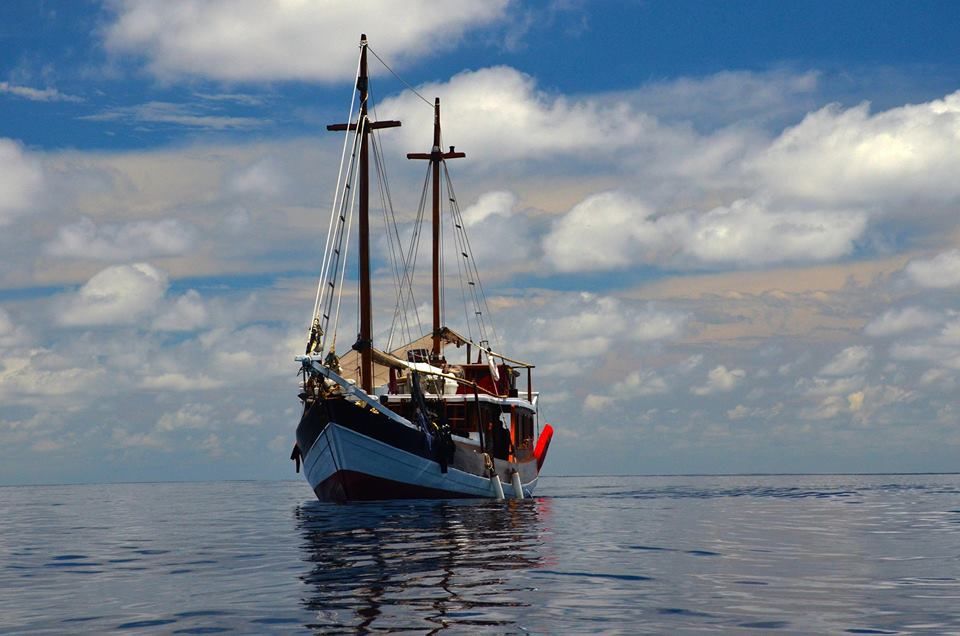 Kira Kira — Smart Dive Phinisi charter in Raja Ampat