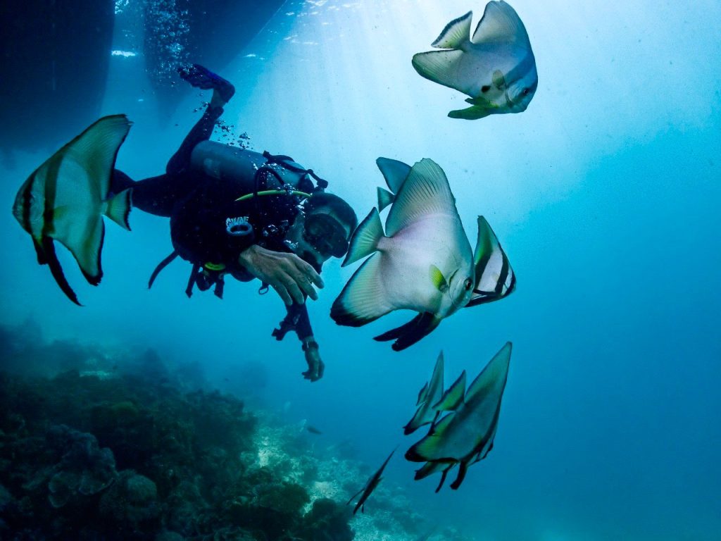 Supraba — Luxury Phinisi charter in Raja Ampat